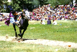 点击浏览下一页