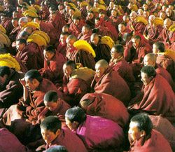 点击浏览下一页