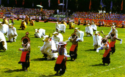 点击浏览下一页